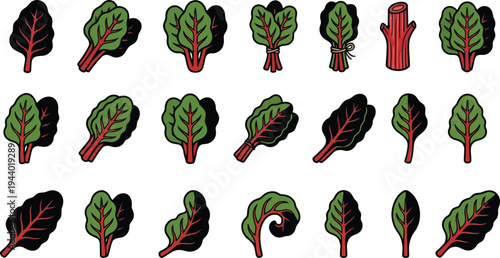 Collection of stylized illustrations featuring fresh green and red swiss chard leaves in various poses