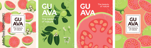 Guava illustration. Whole and sliced fruit, with leaves and flower, for poster, book cover, banner, background.