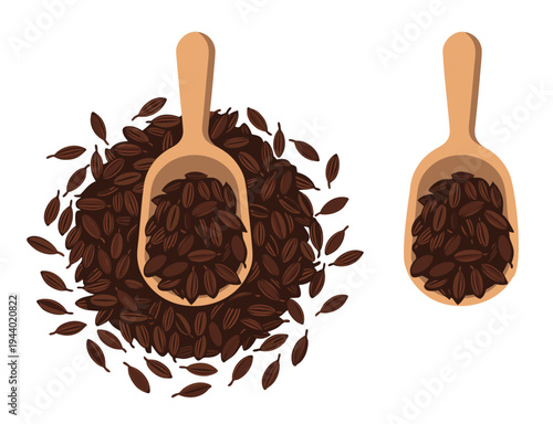 Zira seeds in wooden scoop vector set, on seeds pile and isolated