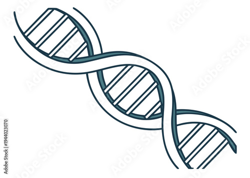 A detailed illustration of a double helix structure representing a dna strand. isolated on transparent background, isolated on white background, Vector