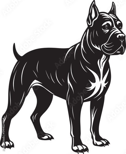 Boxer dog vector illustration