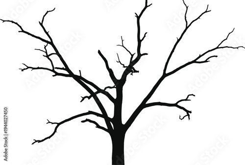 Black and white vector silhouette of a bare winter tree with leafless branches isolated on a solid white background for nature graphic design projects