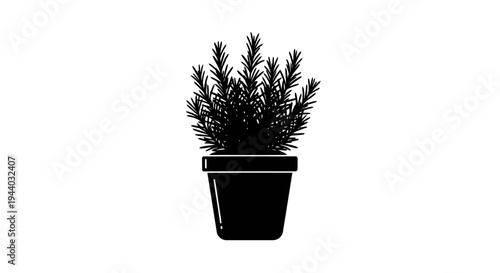 Silhouette of a potted plant with lush foliage, black background