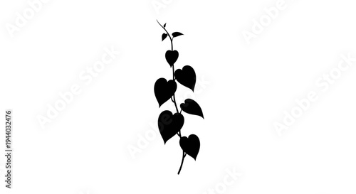 Minimalist Black and White Heart-Shaped Leaf Stem