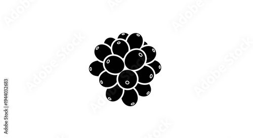 Close-Up of Blackberries Cluster