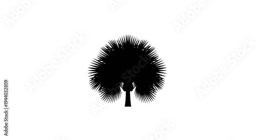 Silhouette of a Tree with Dense Foliage Against White Background