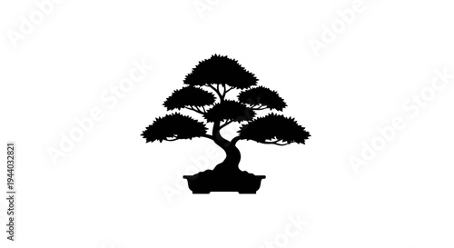 Silhouette of a Bonsai Tree on a White Background