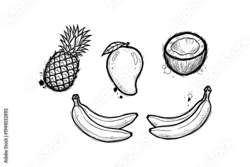 Hand drawn tropical fruits splash: pineapple, mango, coconut, banana sketch