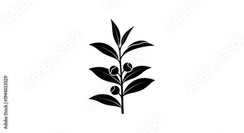 Silhouette of Tea Plant Branch with Leaves and Berries
