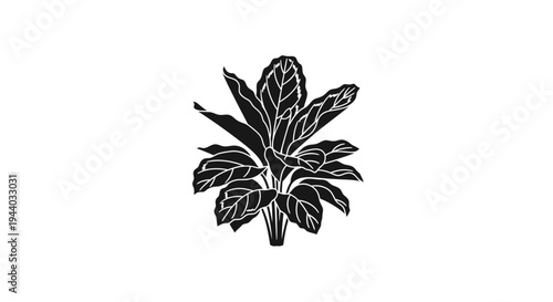 Black and White Illustration of a Leafy Plant with Detailed Veins
