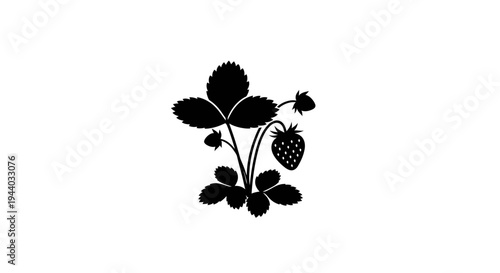 Black and White Silhouette of Strawberry Plant with Fruit and Leaves