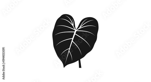 Black and White Heart-Shaped Leaf Illustration for Nature and Botany Themes
