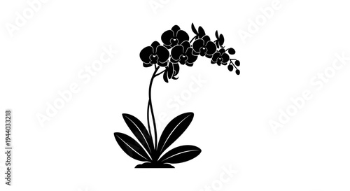 Elegant Black Flower Illustration with Leaves and Buds