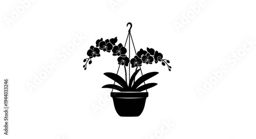 Silhouette of Hanging Flower Pot with blooming plant