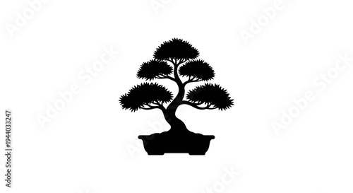 Silhouette of a Bonsai Tree in Classic Asian Pot
