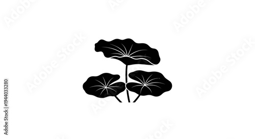 Silhouette of Water Lilies and Lotus Plants in Black and White