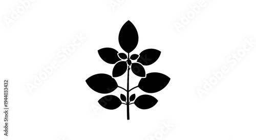 Silhouette of a plant leaf branch in black minimalist style