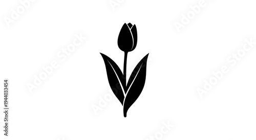 Single Tulip Flower in Black Silhouette for Nature and Floral Designs