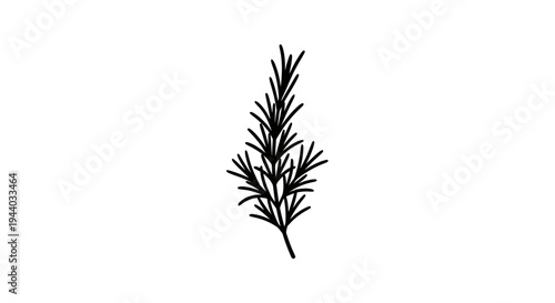 Minimalist Black and White Pine Branch Illustration