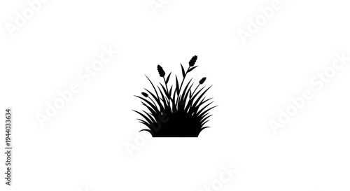 Black and White Silhouette of Tall Grass or Plant