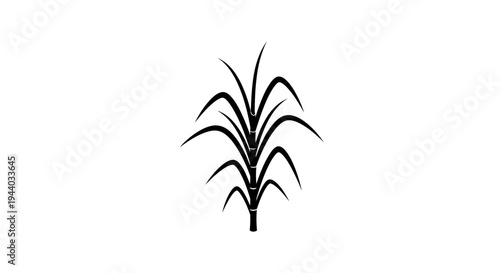 Simple Black and White Illustration of a Sugar Cane Plant