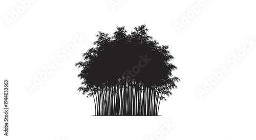 Silhouette of a lush tree with dense foliage and sturdy trunk