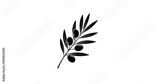 Minimalist Black Olive Branch Illustration for Design Projects