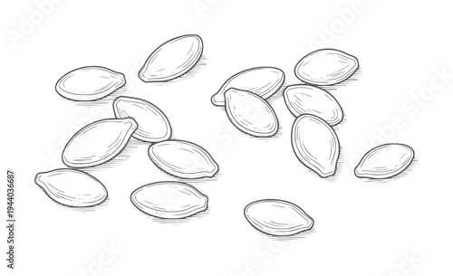 Hand drawn of scattered pumpkin seeds white