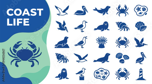 Detailed marine life icons showcase various coastal animals and seaside.