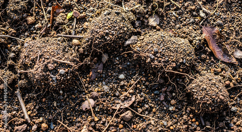 Natural ground soil texture with organic earth surface and small rocks forming detailed brown terrain background suitable for nature, environment and landscape texture design