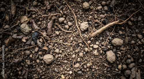 Detailed dirt and soil ground texture with natural stones and rough earth structure creating realistic brown terrain background for landscape and environmental design