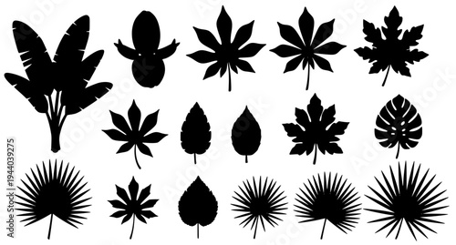 Tropical leaf silhouette collection banana papaya cassava foliage vector EPS 10