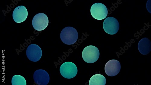 Colorful Glowing Orbs Floating in Dark Abstract Space