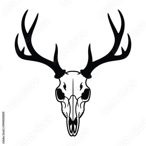 deer head vector