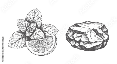 Hand drawn mint leaves and lemon slice next to rough stone