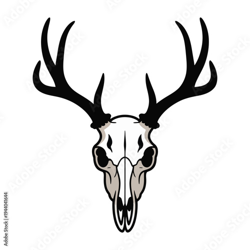 deer head isolated