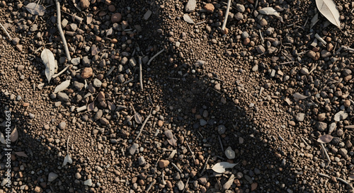 Dark soil terrain texture with compact earth ridges and natural ground structure forming realistic outdoor surface background for environmental and landscape design