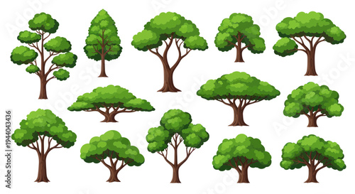 Collection of Diverse Green Trees Isolated on White Background