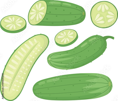Illustration set with whole cucumbers, sliced pieces and a halves. Fresh green vegetables isolated on white background
