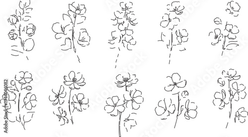 Set of 10 hand-drawn black outline floral illustrations vector, minimalist botanical sketches for wedding invitations, cards, and decor