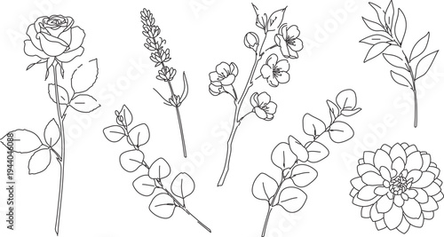 Elegant black and white line art vector set of 7 botanical elements including rose, lavender, eucalyptus, and dahlia flowers, perfect for wedding invitations and branding