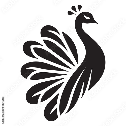 Peacock Symbol of Beauty Pride and Grace illustration concept design set collection