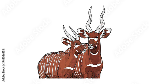 Two Gentle Bongo in a Tender Moment: Capturing an affectionate bond between two bongos, highlighting the distinctive striped pattern and graceful, spiraling horns.