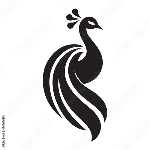 Peacock Symbol of Beauty Pride and Grace illustration concept design set collection