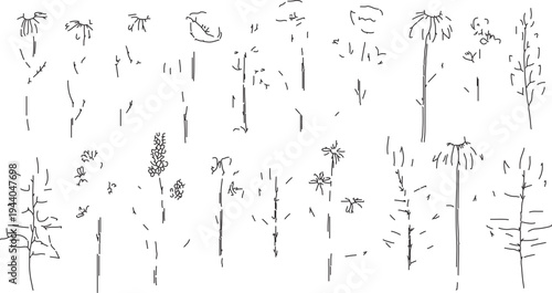 Minimalist hand-drawn line art vector set of various abstract plants, trees, and foliage elements for nature-themed designs and illustrations