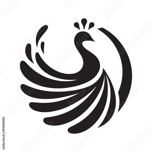 Peacock Symbol of Beauty Pride and Grace illustration concept design set collection