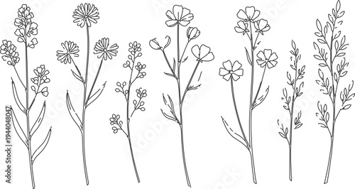 Set of 7 hand-drawn outline wild flowers and herbs vector illustrations, botanical line art for nature, spring, and organic designs