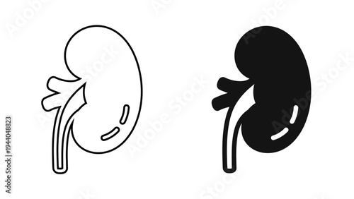 Human Kidney Internal Organ Icon Nephrology Medical Symbol for Healthcare and Anatomy