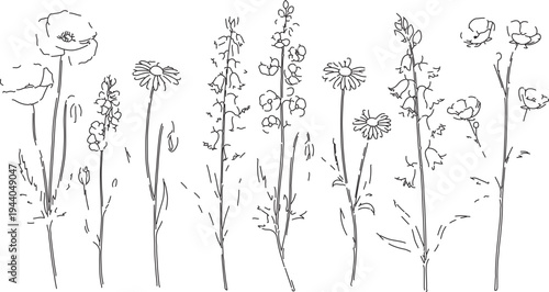 Minimalist black and white line art vector illustration set of various wild meadow flowers and plants, perfect for botanical designs