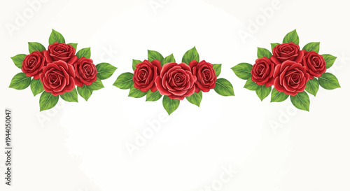 Three elegant red roses with lush green leaves arranged in a horizontal line Vector